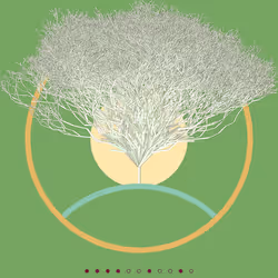 74168867016011539093366687608765447348507224284888477074887990576396248285185