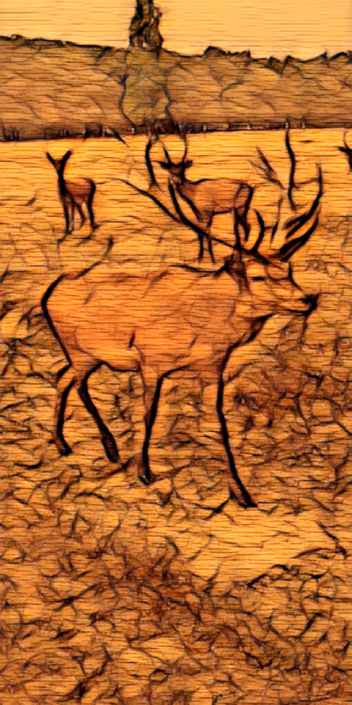 Item #8651498271250357396440676192848533063446167115421124880697921209649846026241 Media