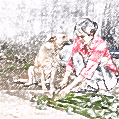 Item #60872619837691221380598772379199687770025926314057253898285761347418316603402 Media