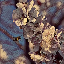 pollination