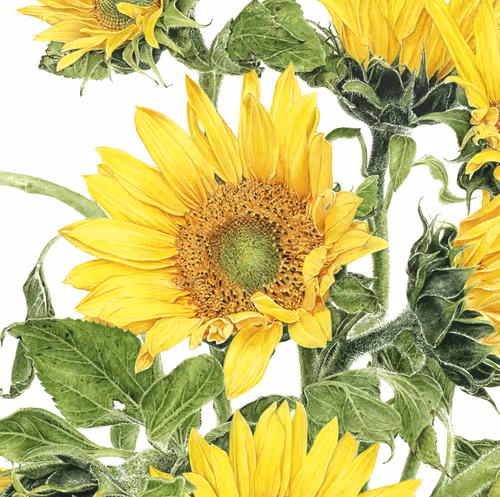 Item #113489034304621262780688231826605953110850630037048369512317058327187709493348 Media