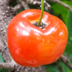 39916610678052500138596211548792698776473563312308341193271399261029055594497