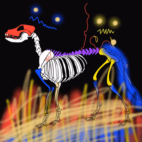 Item #66115251428437251400949335005857765940906863007353817121707627057228057411585 Media