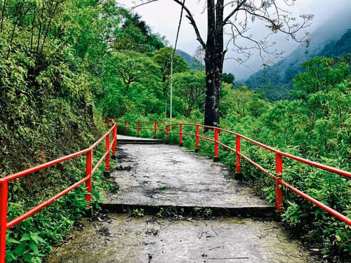 Item #10009359903282094537398543197541078073067770590855434614987939237863872266250 Media