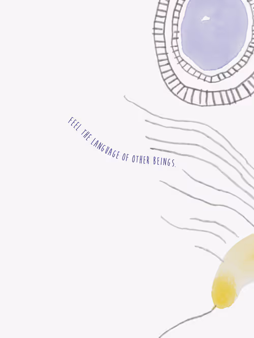 Item #43149038777764532773016279668882109960852004603362959044284205916765728800769 Media