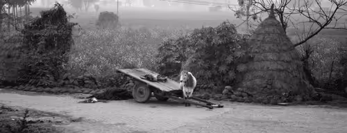 Item #109579018027133606473158902058456759875658318669045531735484408530616402837505 Media