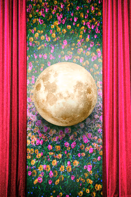 Item #59646891752723899406110743616803786993980577716002236556631688881897773989889 Media