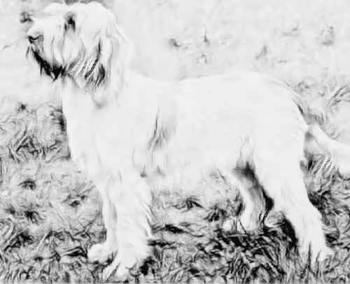 Item #23143313246472061328071561115701105421589606567298838424350448110454662234113 Media