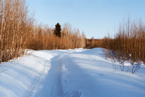 Item #34811634924862855090105769671786307071201187759740501250683185494726402899969 Media