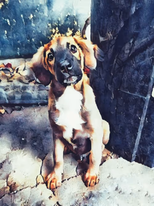 Item #109885862523976899144651734441556854765315219074328426947809034519587674128385 Media