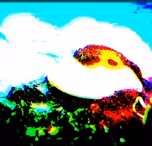 Item #90190205022037577658611228217343825730566789419905869044194752779864837718017 Media