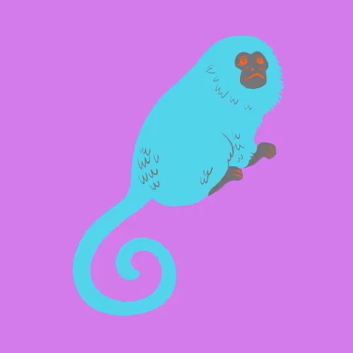 Item #22409191629958184974528791695107268175049955152270673158424678447527084687361 Media