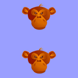 Chimp9