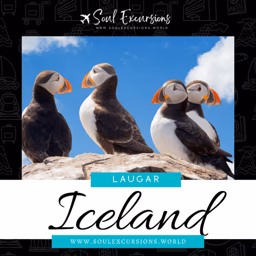 Item #66062759259298317495242665808143605487960305521075017354073139652689175511041 Media