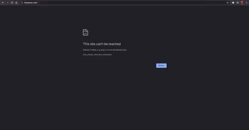 Untitled Collection #22431024