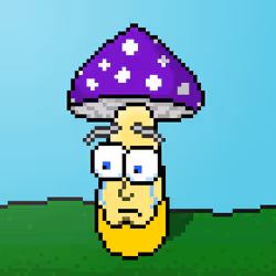 33741781216748986518517832568595493503429706584982134247768926060188792782849