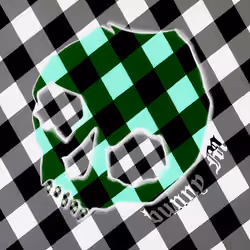 luminous gingham skull violet flip
