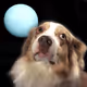 63085957130216624636248423642942812488850991077571032423490426890156498747393