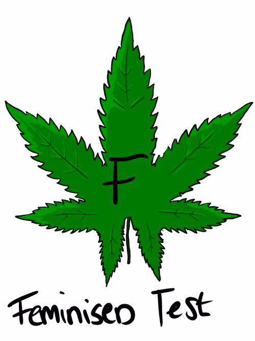 Item #3629226787036885345407013839473637357726433756934680638690710405100966248449 Media