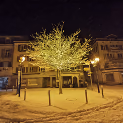 Christmas Lights