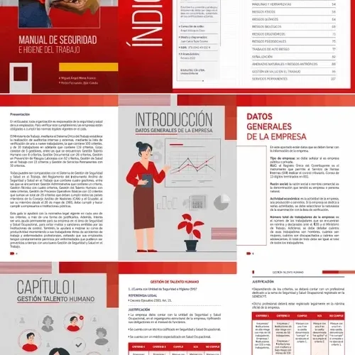 Manual de Seguridad e Higiene del Trabajo