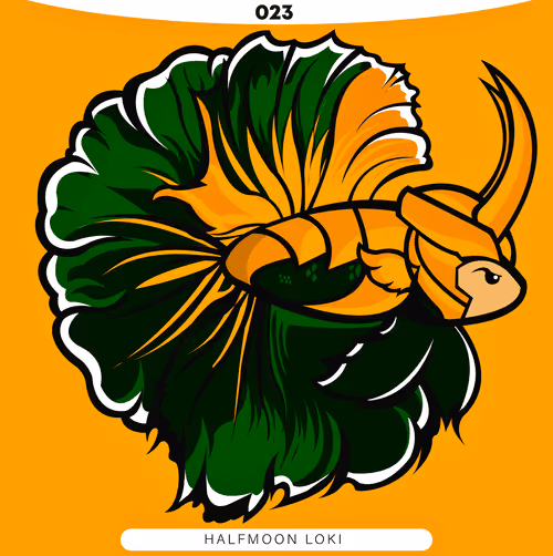 Item #71915282176282174012632358448723633474544225318645324977784202308691857244161 Media