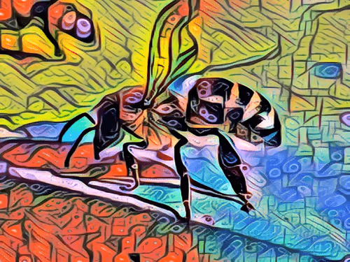 Item #101599579626109009666607068920778550362968334718480795982881728467167478808577 Media