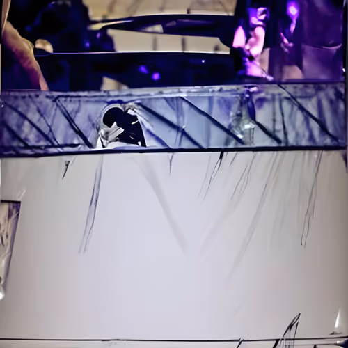 Item #30177002033532178453381552684665759543423654628186795740090827770125352960001 Media