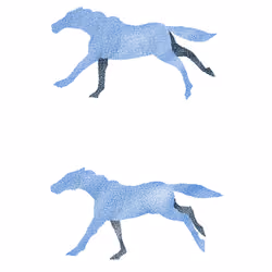 Stallion 6