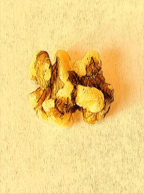 Item #23101555341256944767947780439913944949162078650248345617575226590535564132353 Media