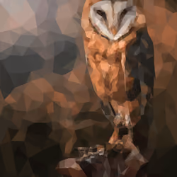 Hoots lookin' at you. 