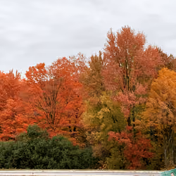 Add color to your life 🍁