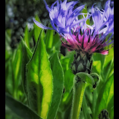 3787080761074609709675817509753112159059746763483256848434353697434384728065