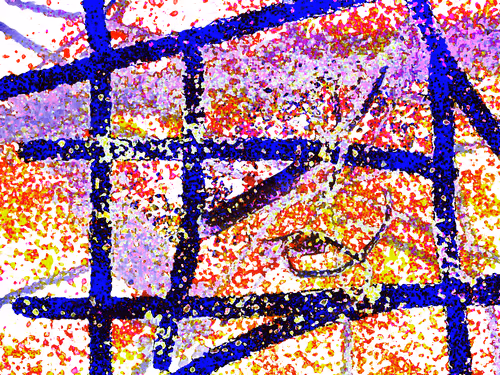 Untitled Collection #183677085