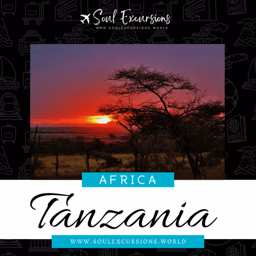 Item #66062759259298317495242665808143605487960305521075017354073139579021896450049 Media