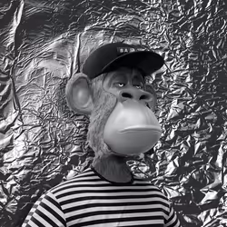 5770908545697510747748464042535492694369148618153979608185655469181587423233