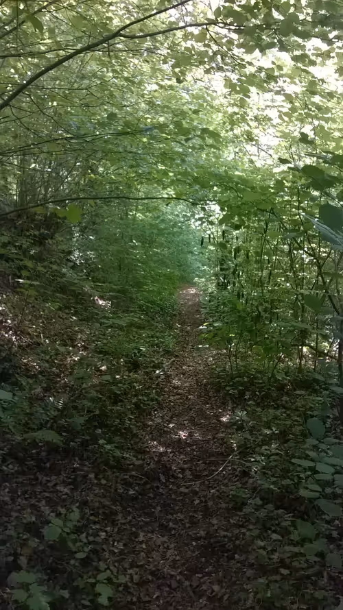 Item #7967281033894542222055828877453032867342209807388350993583448732332311183361 Media