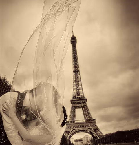 Untitled Collection #121543332