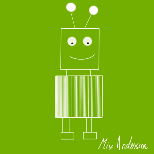 Mr Miss Robot
