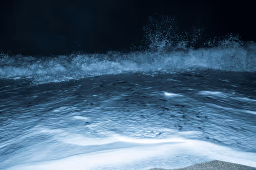 Item #65334289746679534718729475887804441956060191570096093289886828075086400978945 Media