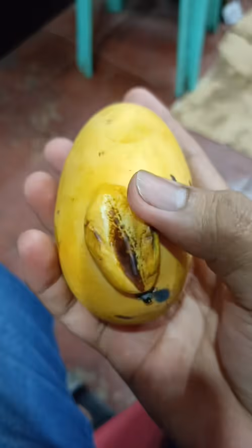 Item #54165272269550057564100274972046162223382331715469813522394667896398457864193 Media