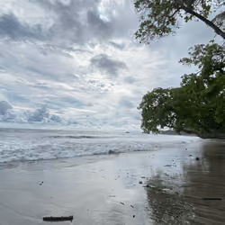 Pura Vida