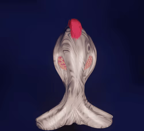 Item #82765646488702414129383496778321013903958419423685551132158570947645691396097 Media