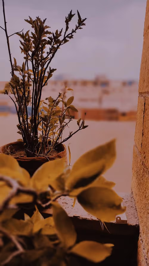 Item #38635769552370406339735606302440485679200118302111211897685168740676195581953 Media