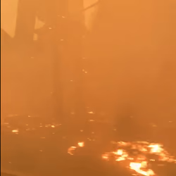 The Fog of War