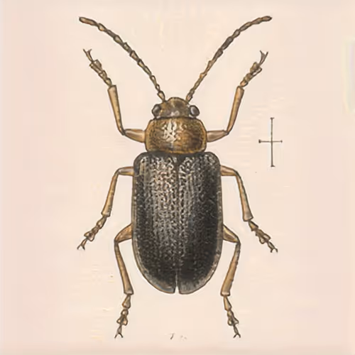 Item #58241160855422744817468407088196322100109565521561100950236904316634134478849 Media