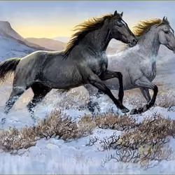 Freedom