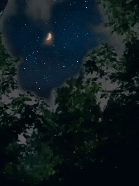 Item #108175385754913638577213036180834446424025282254093362741569171441136275816948 Media