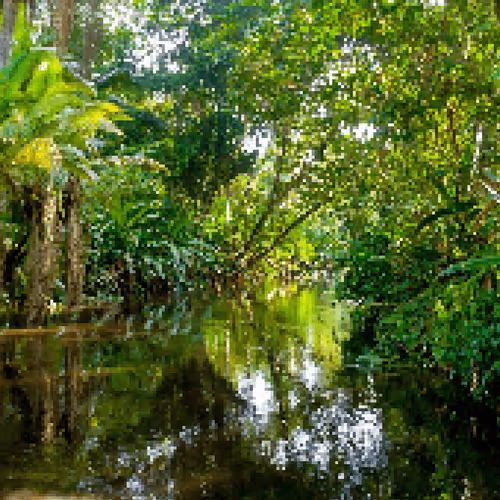 Item #77578914739546887048818332313932665161765433079396936366754535083283977338881 Media