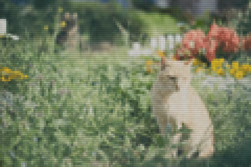 Item #42068797716410794441673818028906966983709773794911645619704857589939638894642 Media